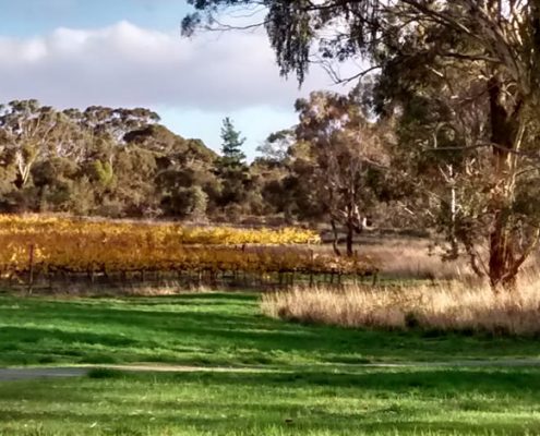 Clare Valley