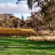 Clare Valley