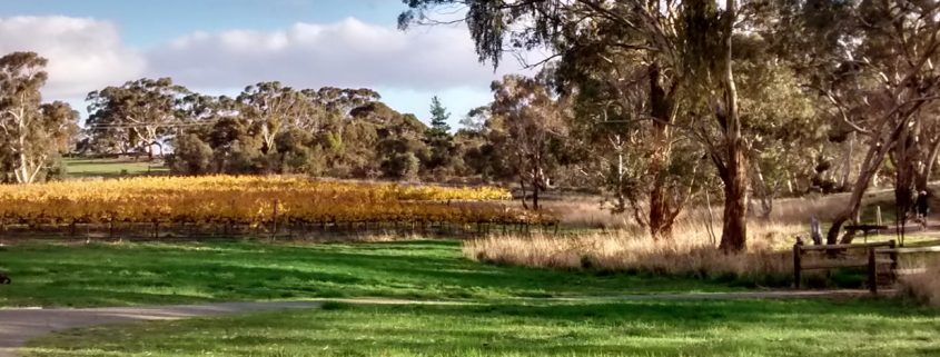 Clare Valley