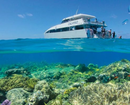 calypso-opal-reef-portdouglas-reves-australie