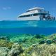 calypso-opal-reef-portdouglas-reves-australie