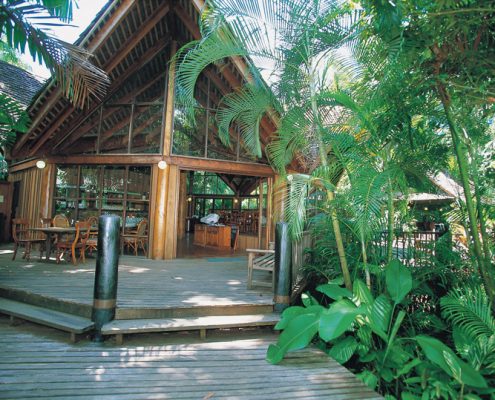 ferntree-rainforest-lodge-cape-tribulation-reves-australie