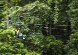 jungle-surfing-canopy-tour-reves-australie