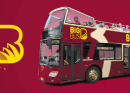big-bus-sydney-bus-reves-australie