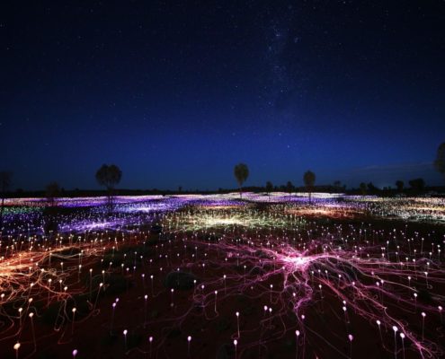 Field_of_light_AYQ_reves australie